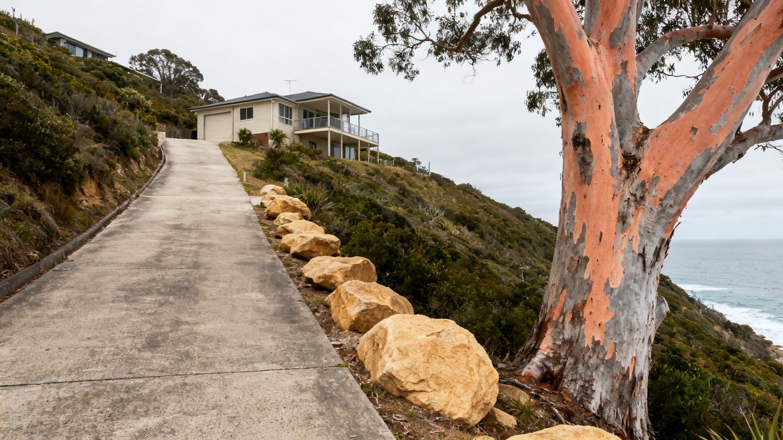 A steep driveway up to a hillside house with a large Sydney red gum and sandstone boulders beside it